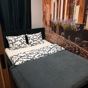 Appartement met een Slaapkamer